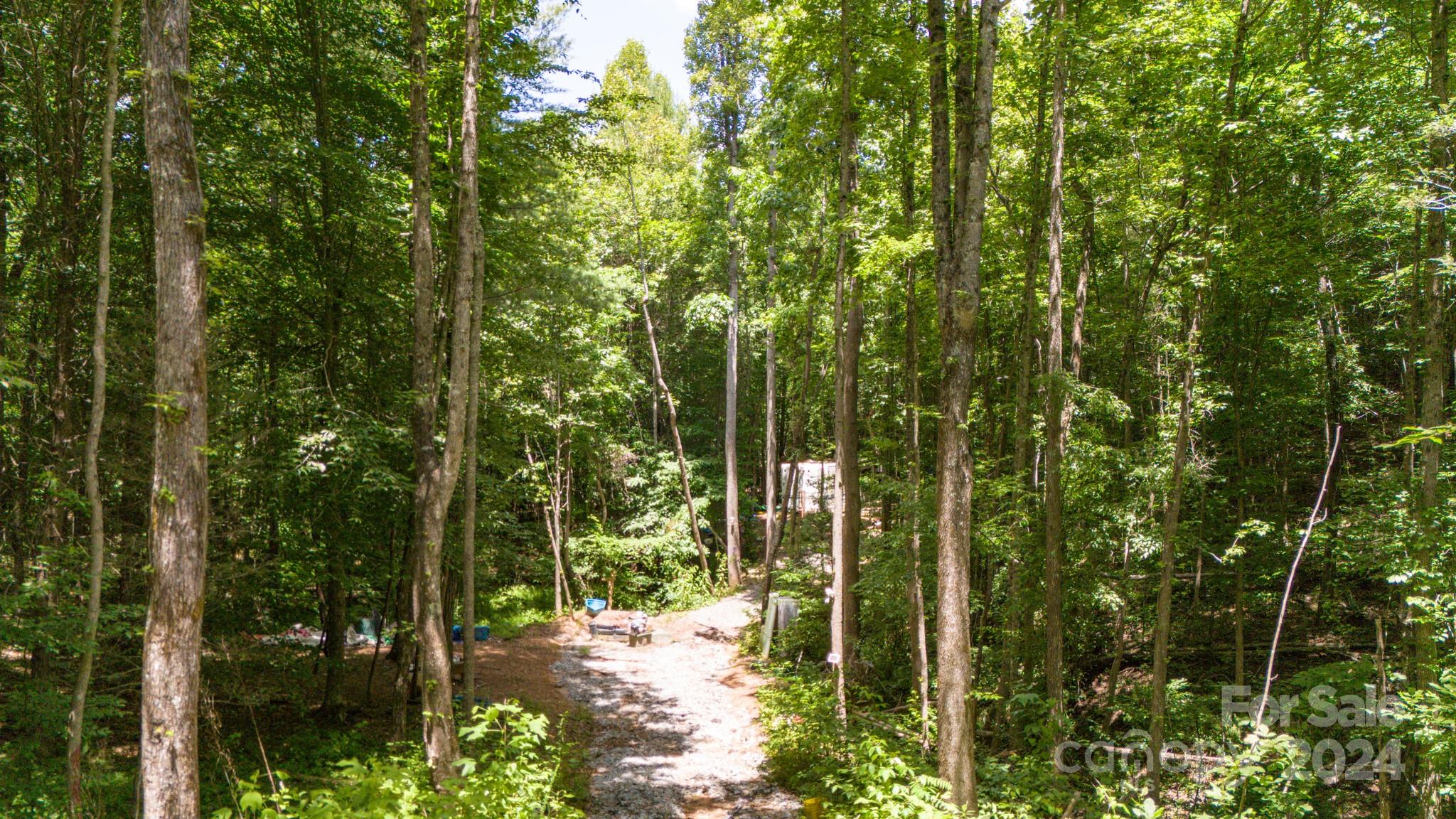5045 Old Hickory Tree Road Morganton, NC 28655 - Photo 3 of 23 Gallery Image 3