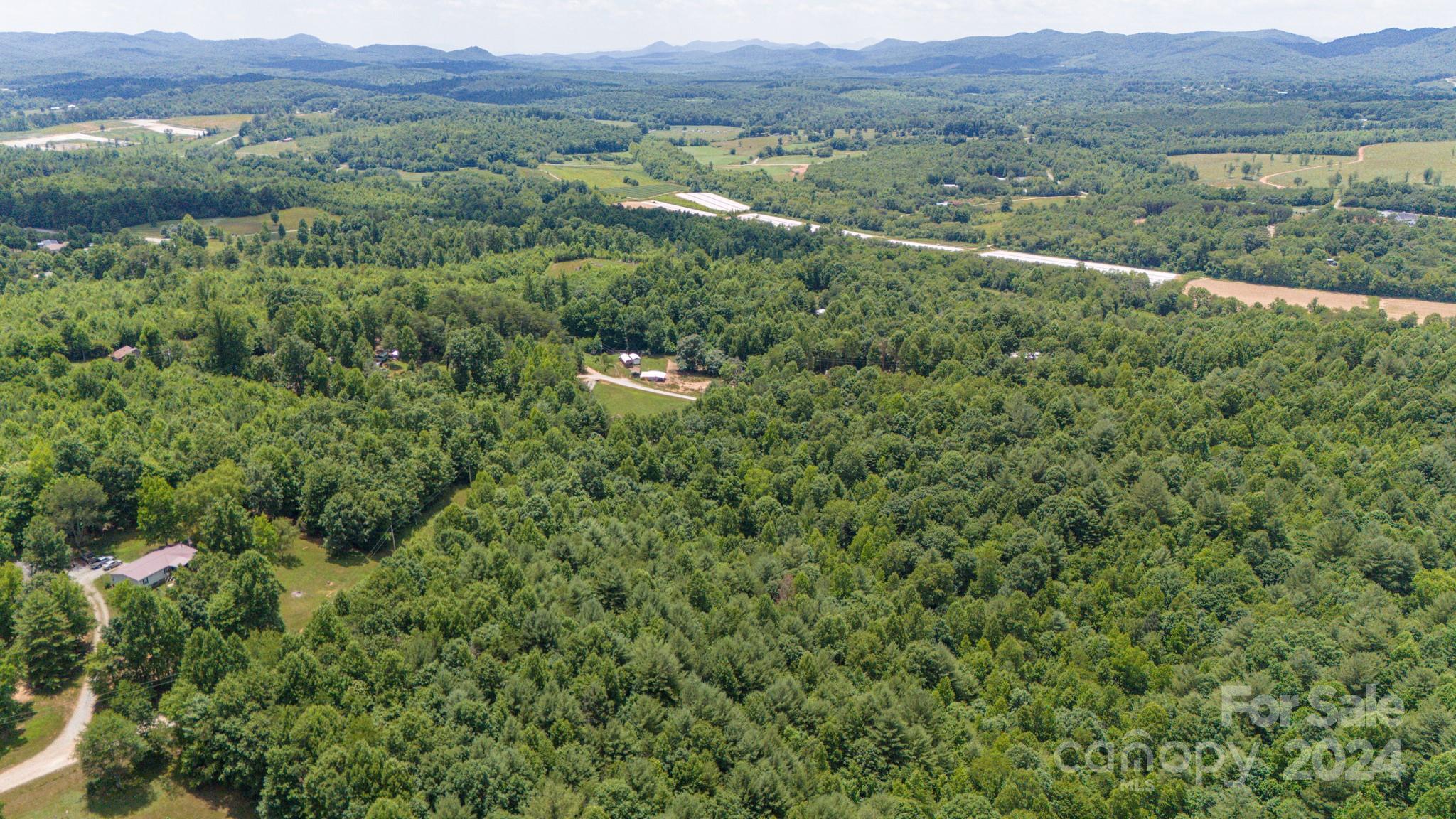 5045 Old Hickory Tree Road Morganton, NC 28655 - Photo 9 of 23 Gallery Image 9