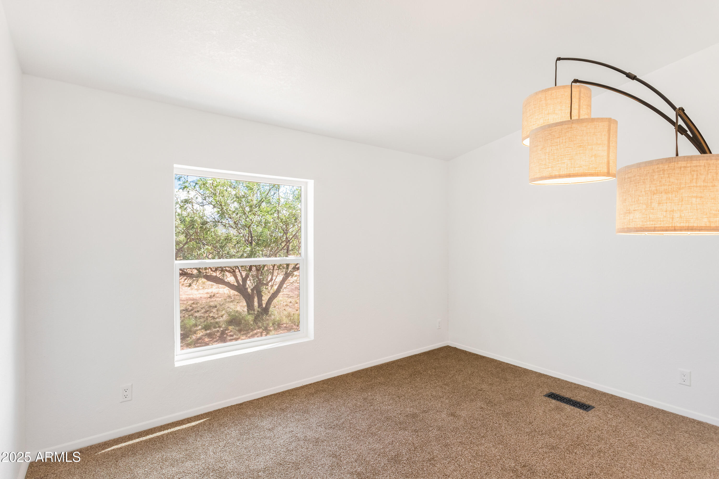 5868 South Hargis Ranch Road Hereford, AZ 85615 - Photo 25 of 39 IMG_8093