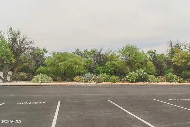 a front view of a garden with lawn chairs