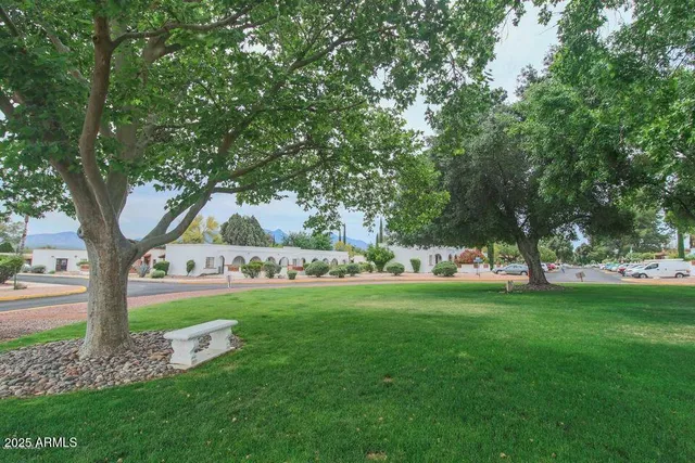 a view of a park with large trees