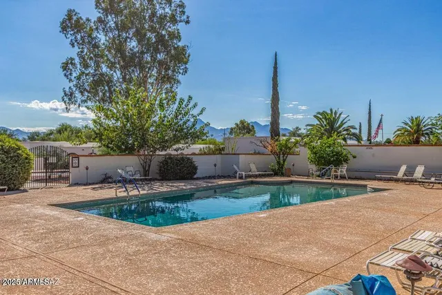 a view of a park with large trees