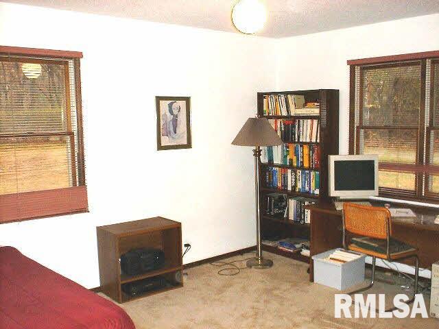263 Russell Road De Soto, IL 62924 - Photo 11 of 14