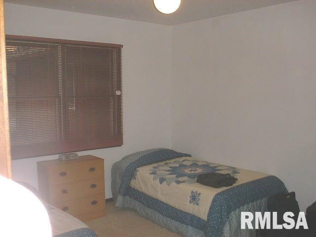 263 Russell Road De Soto, IL 62924 - Photo 12 of 14