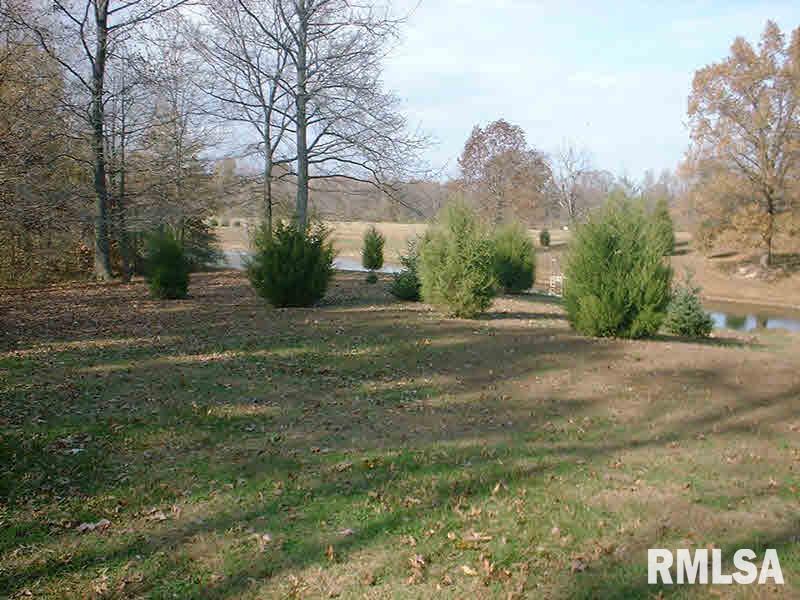 263 Russell Road De Soto, IL 62924 - Photo 3 of 14