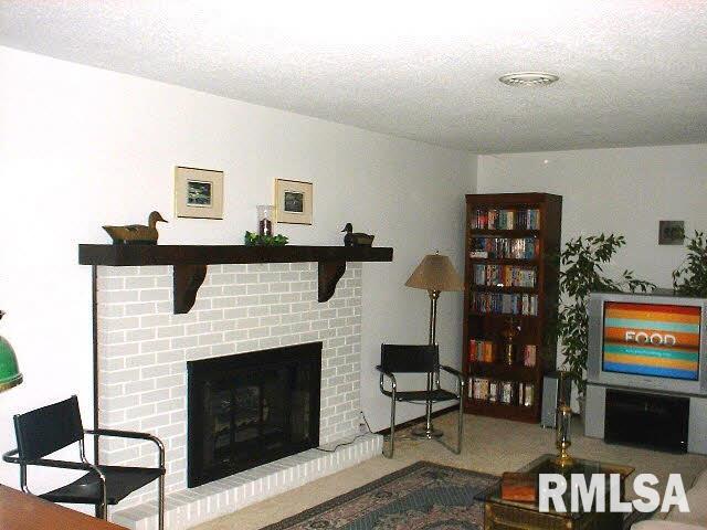 263 Russell Road De Soto, IL 62924 - Photo 6 of 14