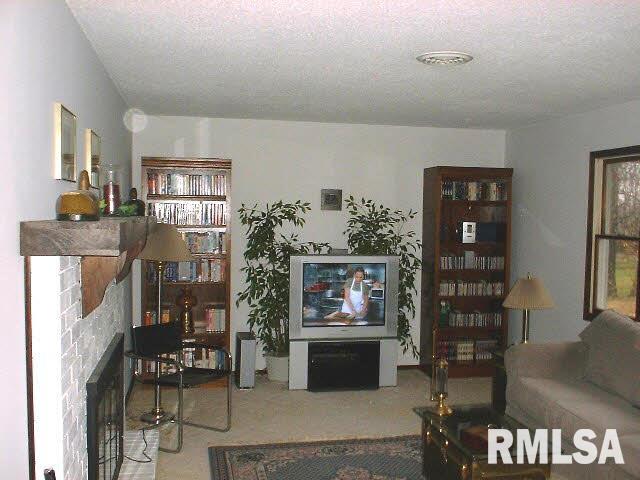 263 Russell Road De Soto, IL 62924 - Photo 7 of 14