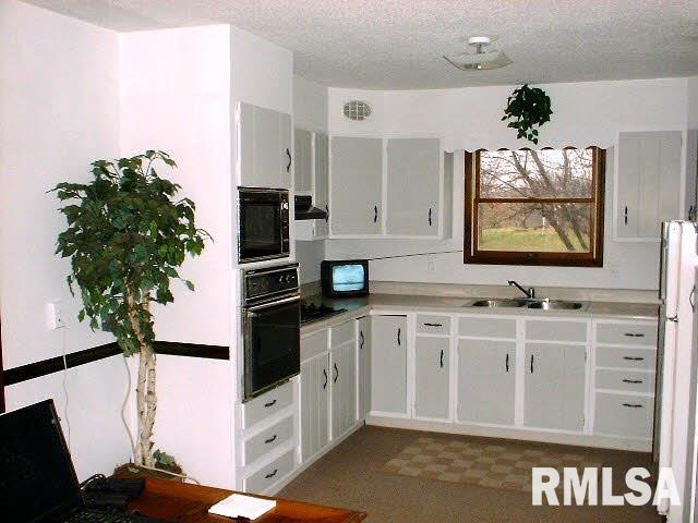 263 Russell Road De Soto, IL 62924 - Photo 9 of 14