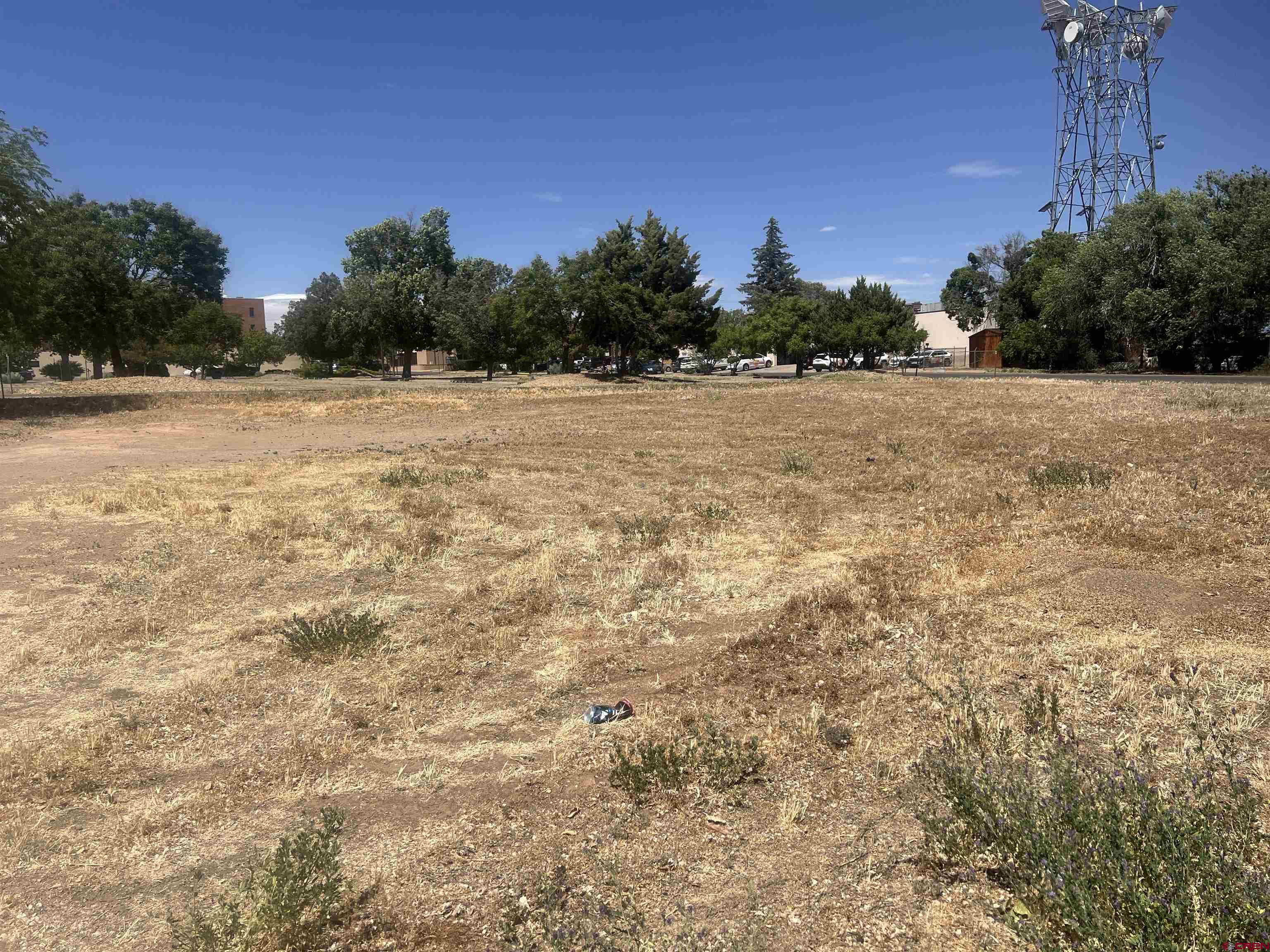 Tbd South Chestnut Street Cortez, CO 81321 - Photo 2 of 10 a view of a field with trees in background