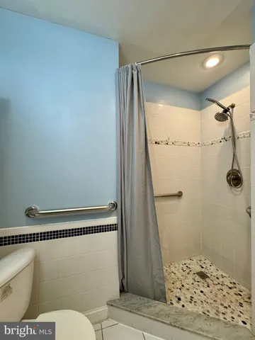 a bathroom with a shower and a toilet