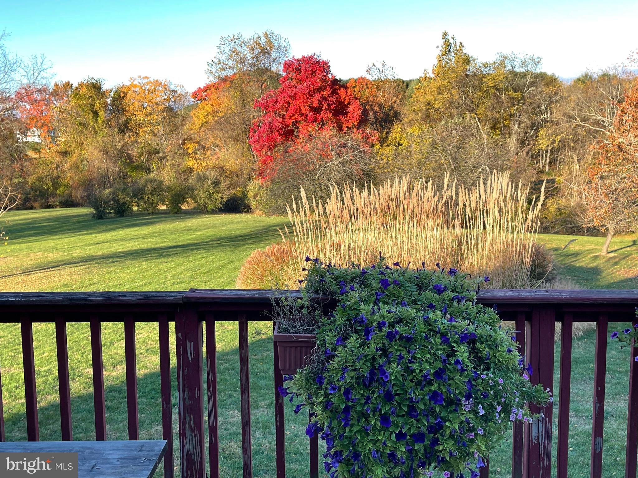 20233 Shelburne Glebe Road Purcellville, VA 20132 - Photo 55 of 73 Gallery Image 55