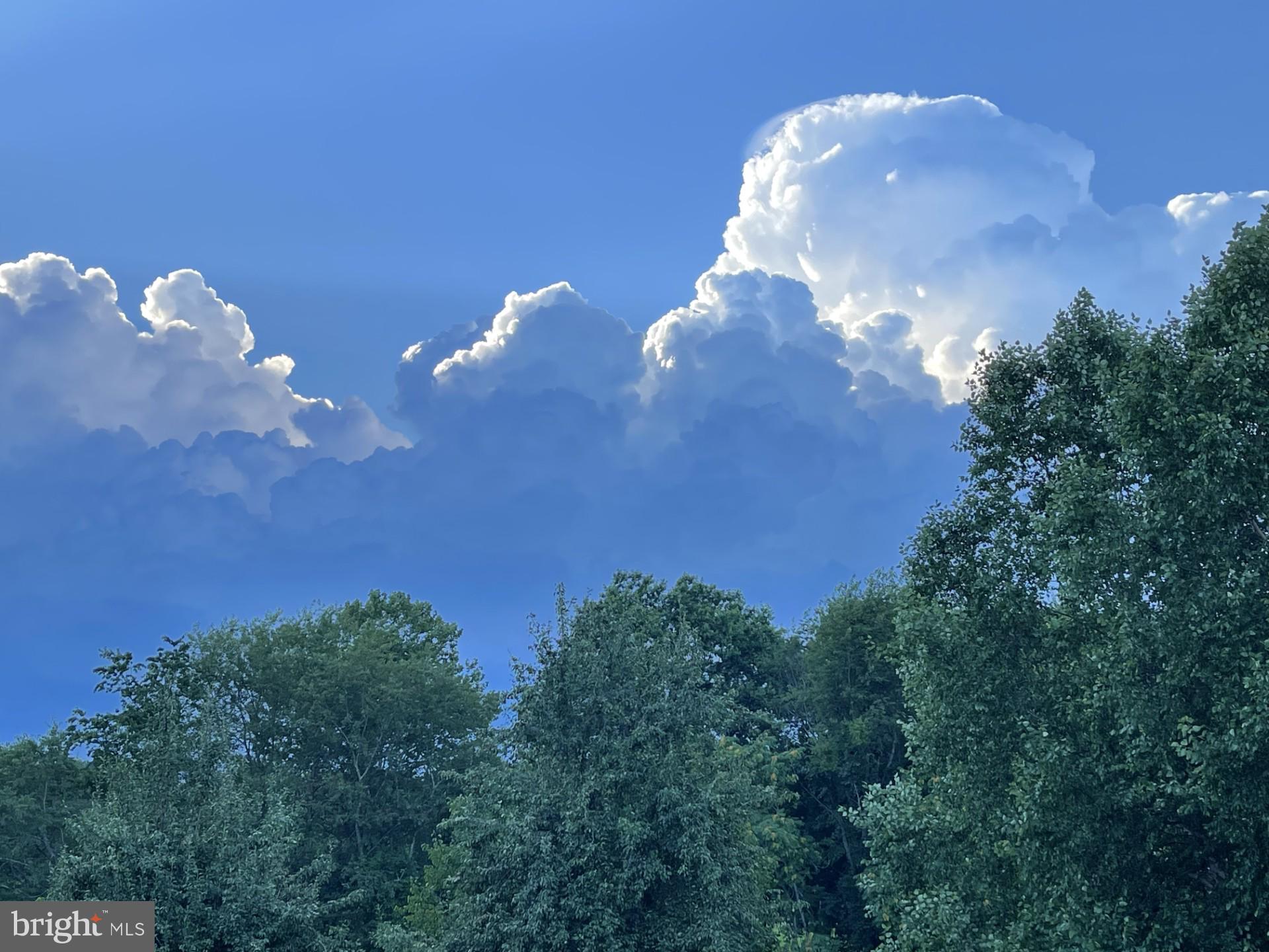 20233 Shelburne Glebe Road Purcellville, VA 20132 - Photo 73 of 73 Gallery Image 73