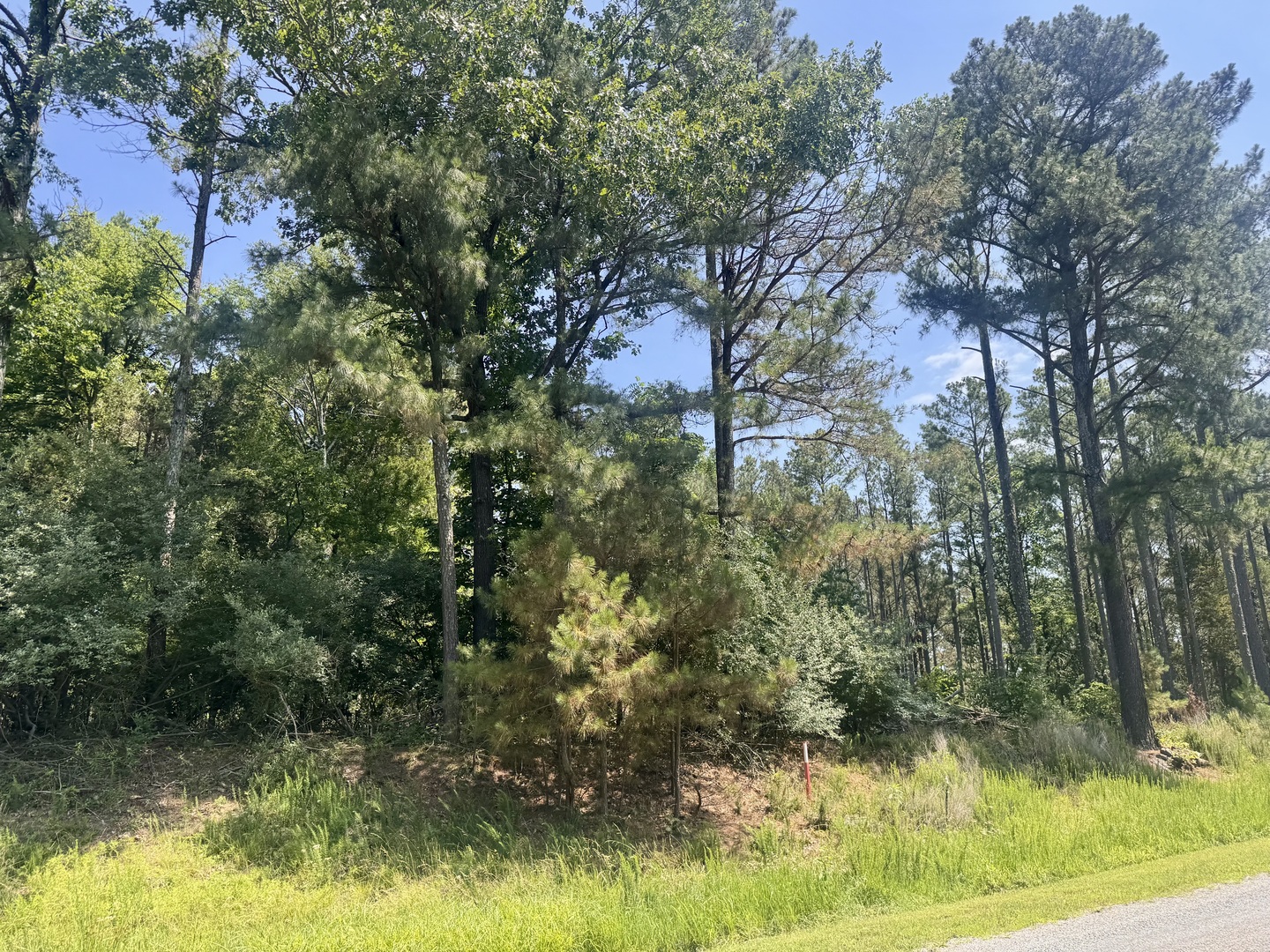 Lot 273-274 Rocky Point Road Goreville, IL 62939 - Photo 10 of 11