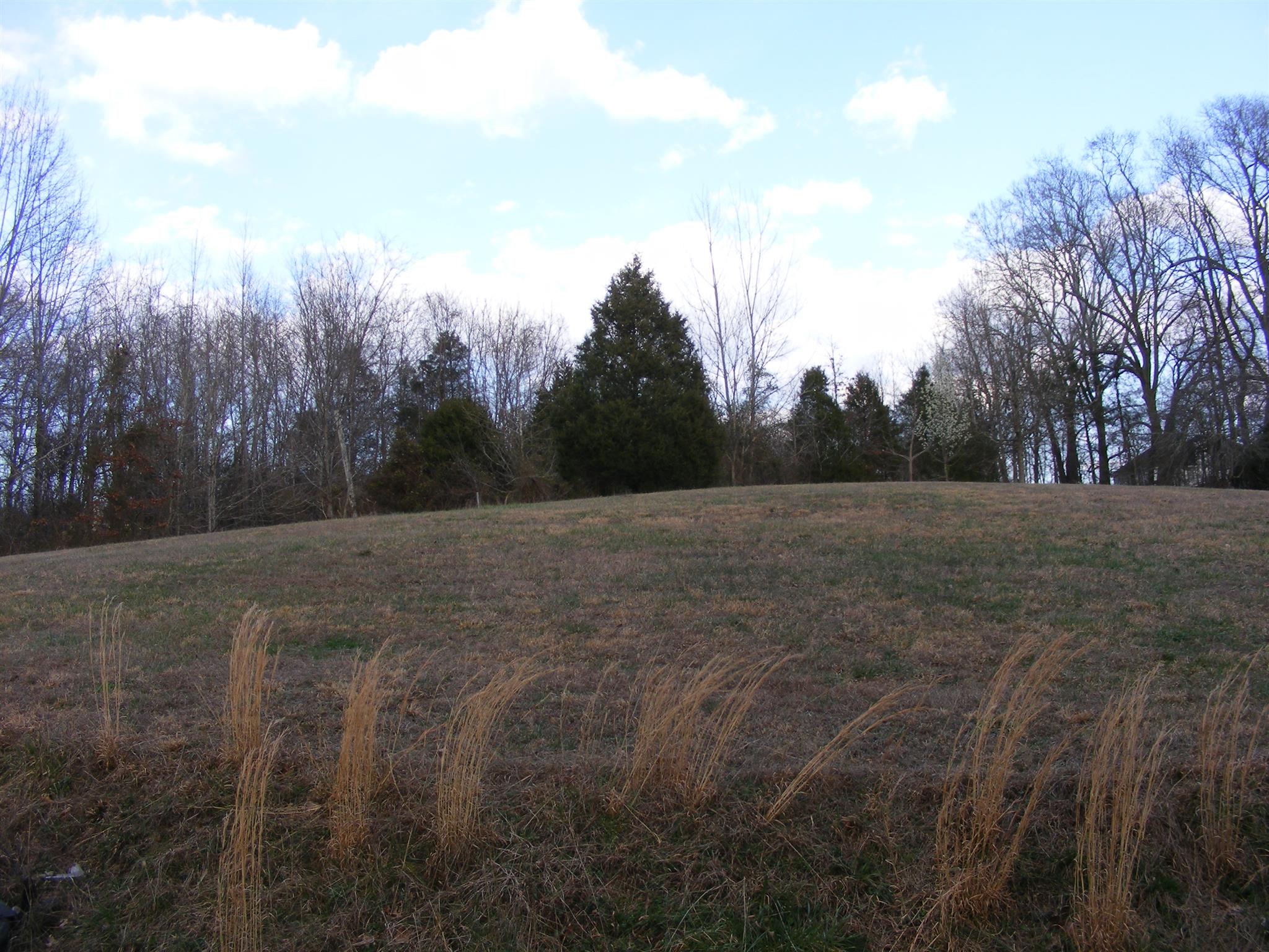 3241 Distillery Road Springfield, TN 37172 - Photo 5 of 17