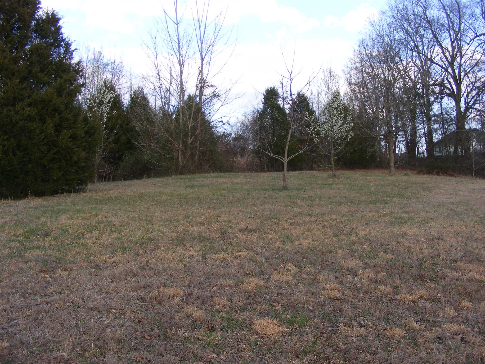 3241 Distillery Road Springfield, TN 37172 - Photo 6 of 17
