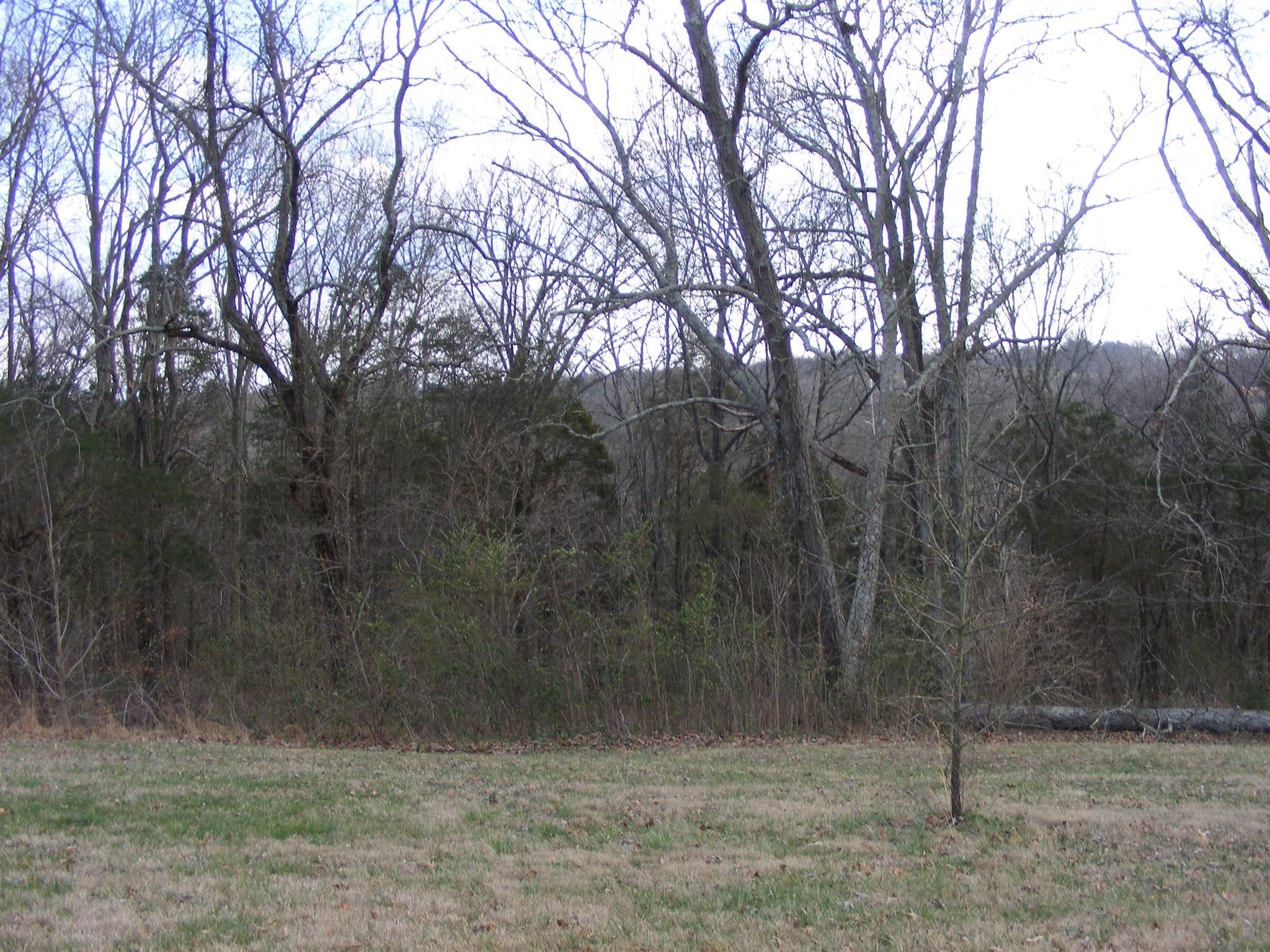 3241 Distillery Road Springfield, TN 37172 - Photo 7 of 17