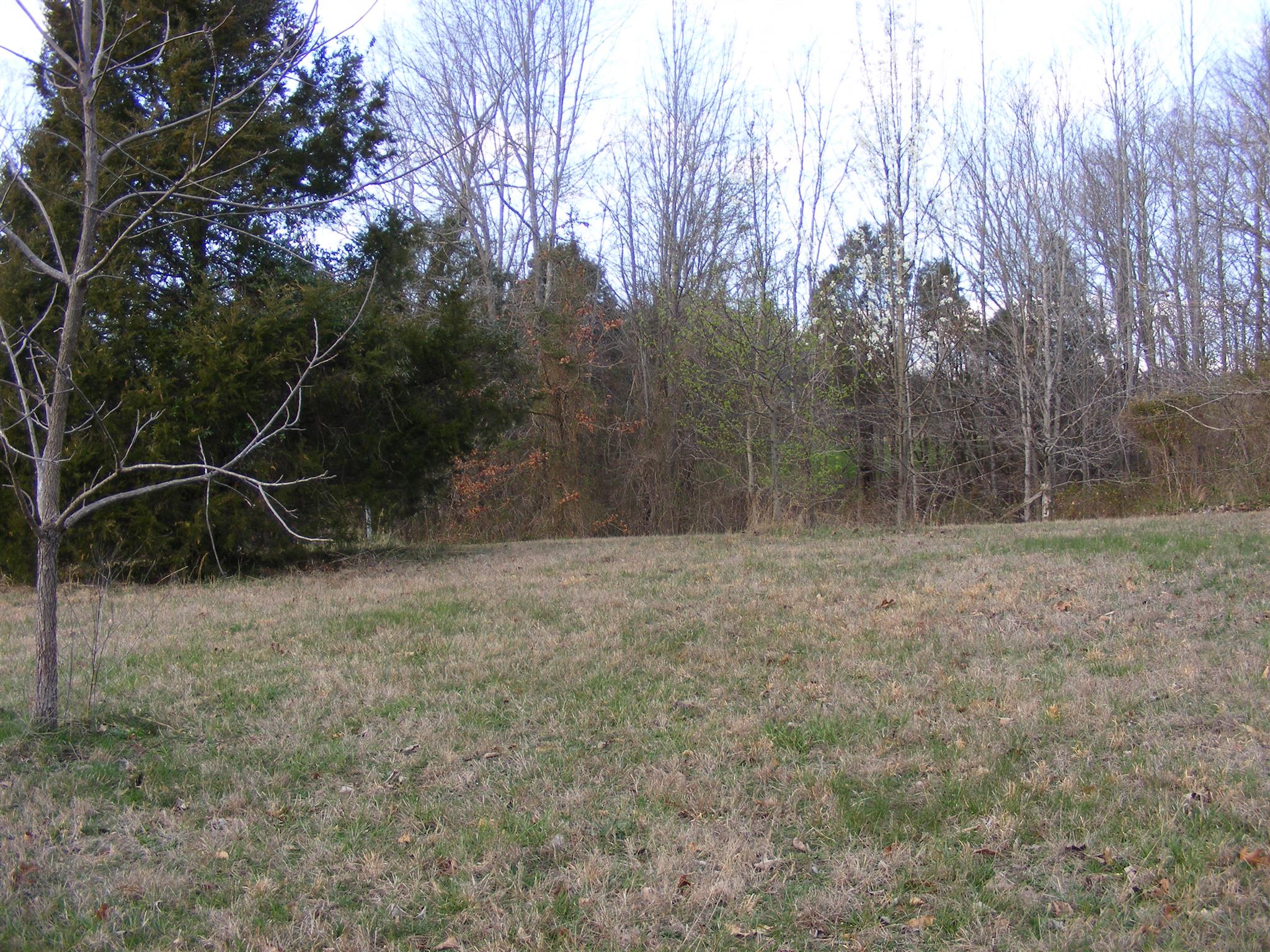 3241 Distillery Road Springfield, TN 37172 - Photo 8 of 17