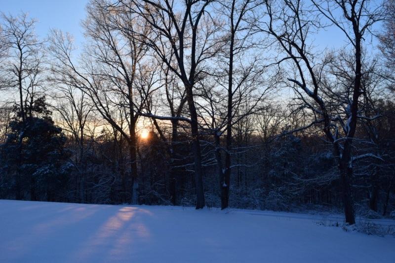 3241 Distillery Road Springfield, TN 37172 - Photo 9 of 17