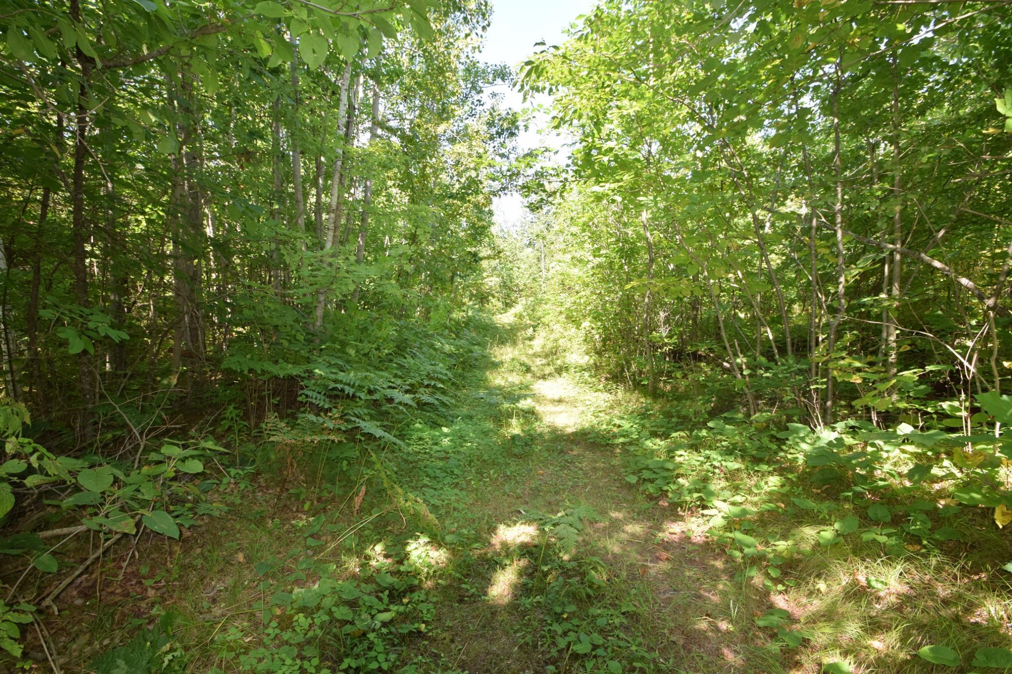 33227 Highway 35 Danbury, WI 54830 - Photo 30 of 54