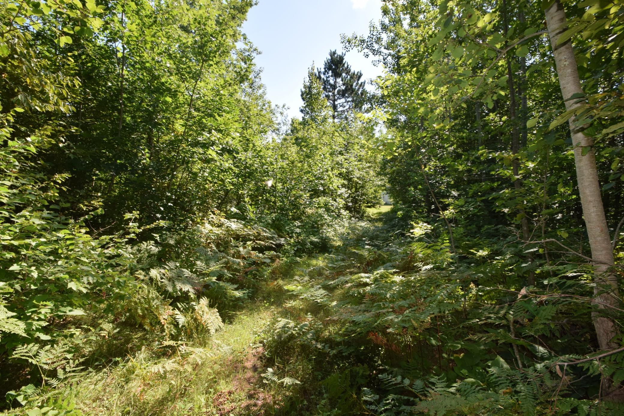 33227 Highway 35 Danbury, WI 54830 - Photo 36 of 54