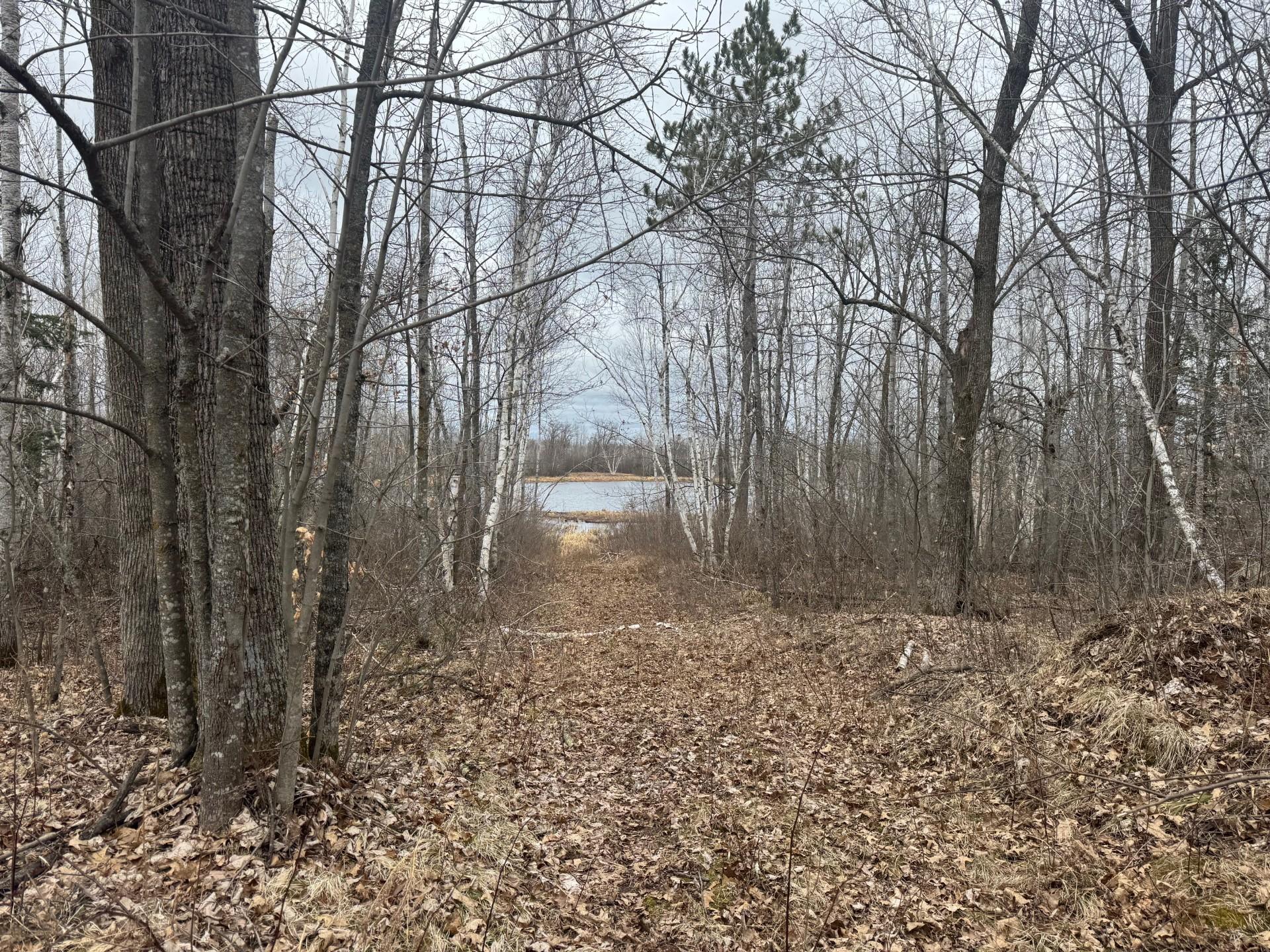 33227 Highway 35 Danbury, WI 54830 - Photo 37 of 54