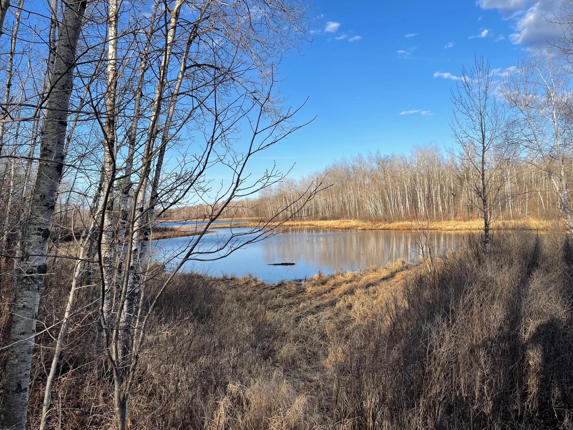 33227 Highway 35 Danbury, WI 54830 - Photo 39 of 54