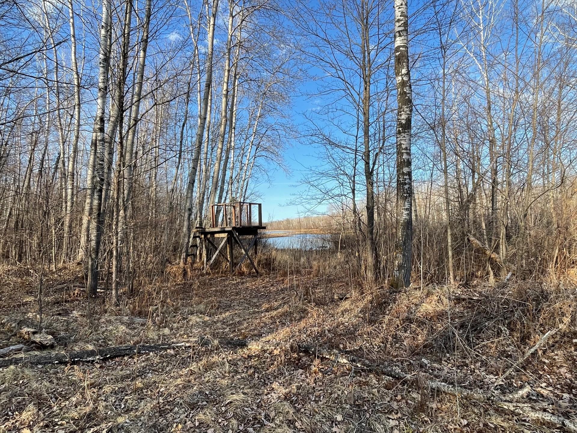 33227 Highway 35 Danbury, WI 54830 - Photo 41 of 54