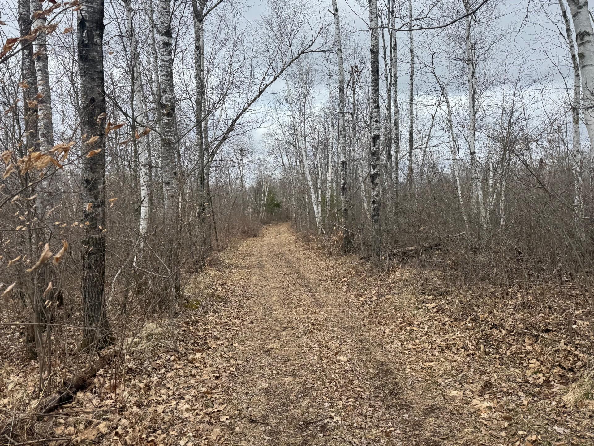 33227 Highway 35 Danbury, WI 54830 - Photo 43 of 54