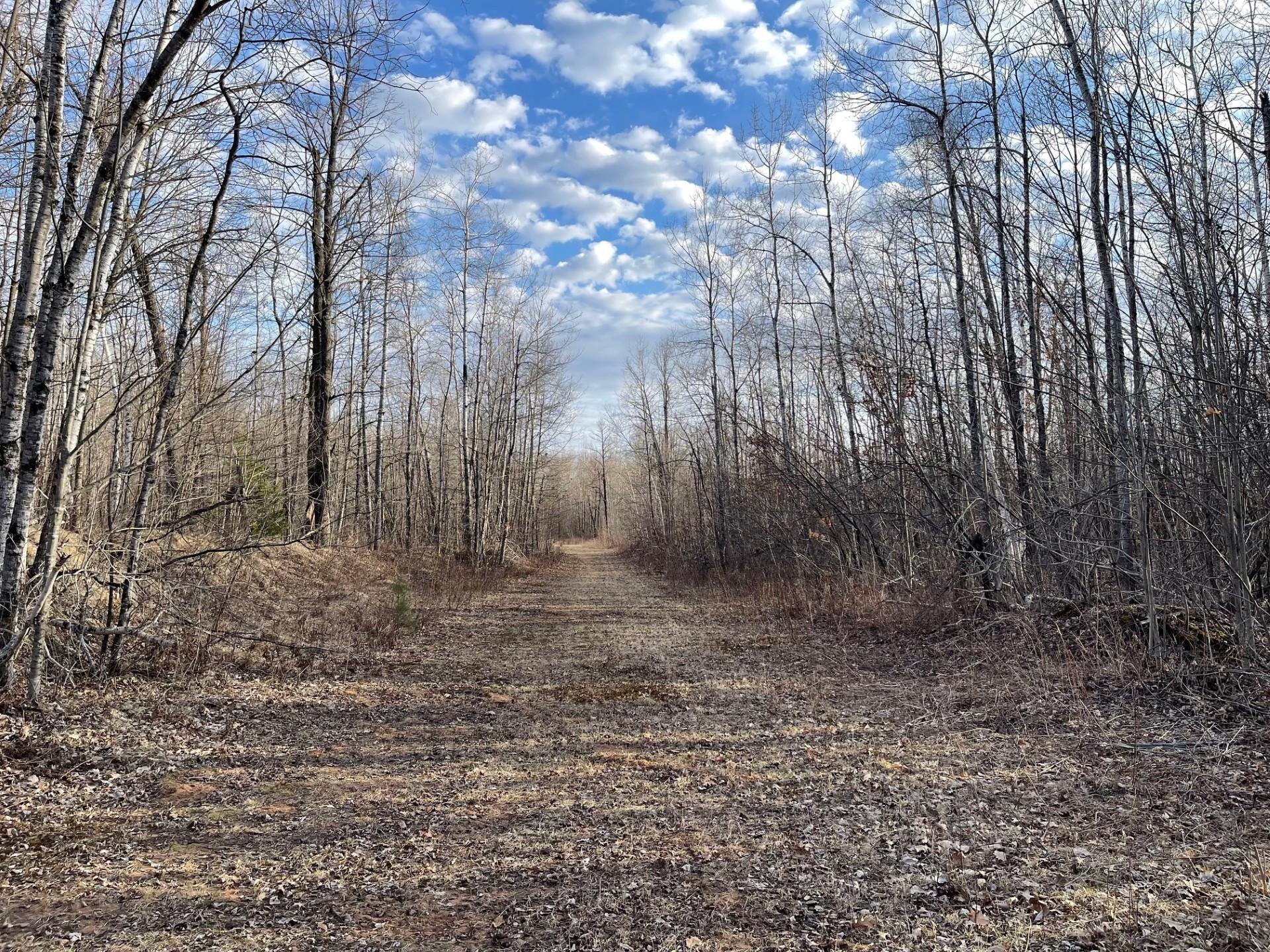 33227 Highway 35 Danbury, WI 54830 - Photo 44 of 54