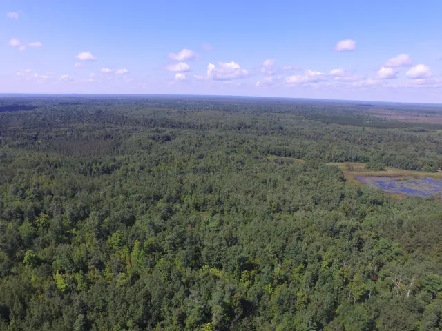 $389,000 | 33227 Highway 35, Danbury, WI 54830