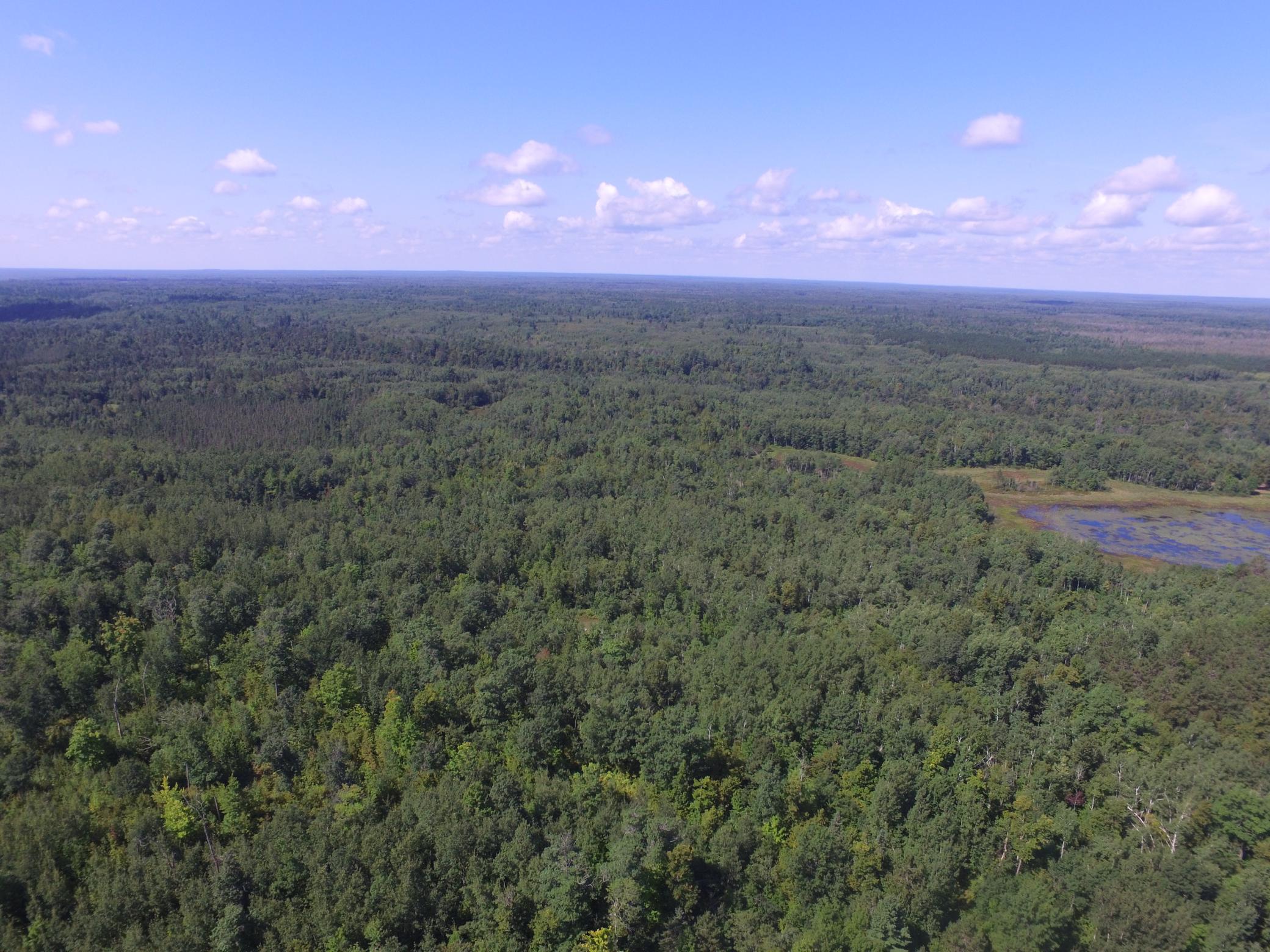 33227 Highway 35 Danbury, WI 54830 - Photo 54 of 54