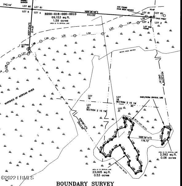 10 Little Capers Road Beaufort, SC 29907 - Photo 2 of 9 Survey with Island