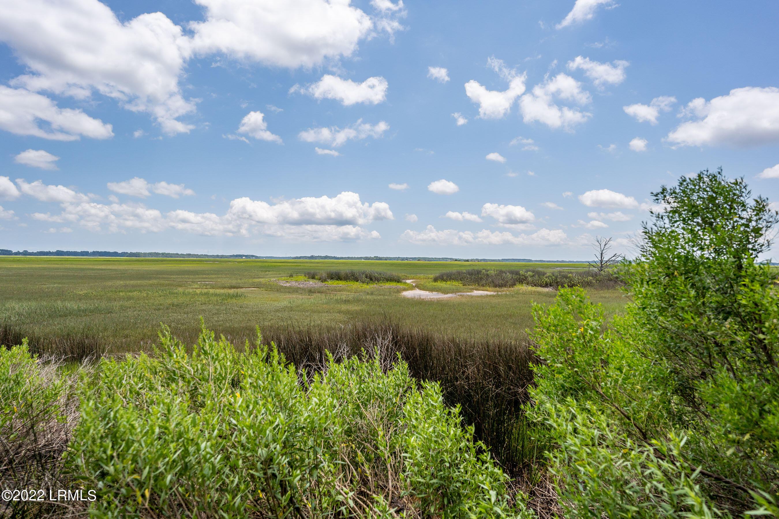 10 Little Capers Road Beaufort, SC 29907 - Photo 3 of 9 DSC06036-1.jpg-FULL