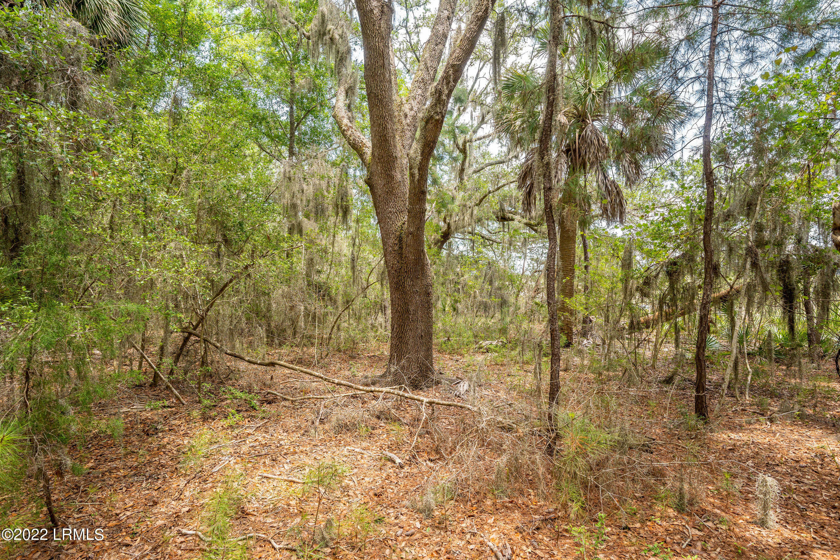 10 Little Capers Road Beaufort, SC 29907 - Photo 4 of 9 DSC06045-1.jpg-FULL