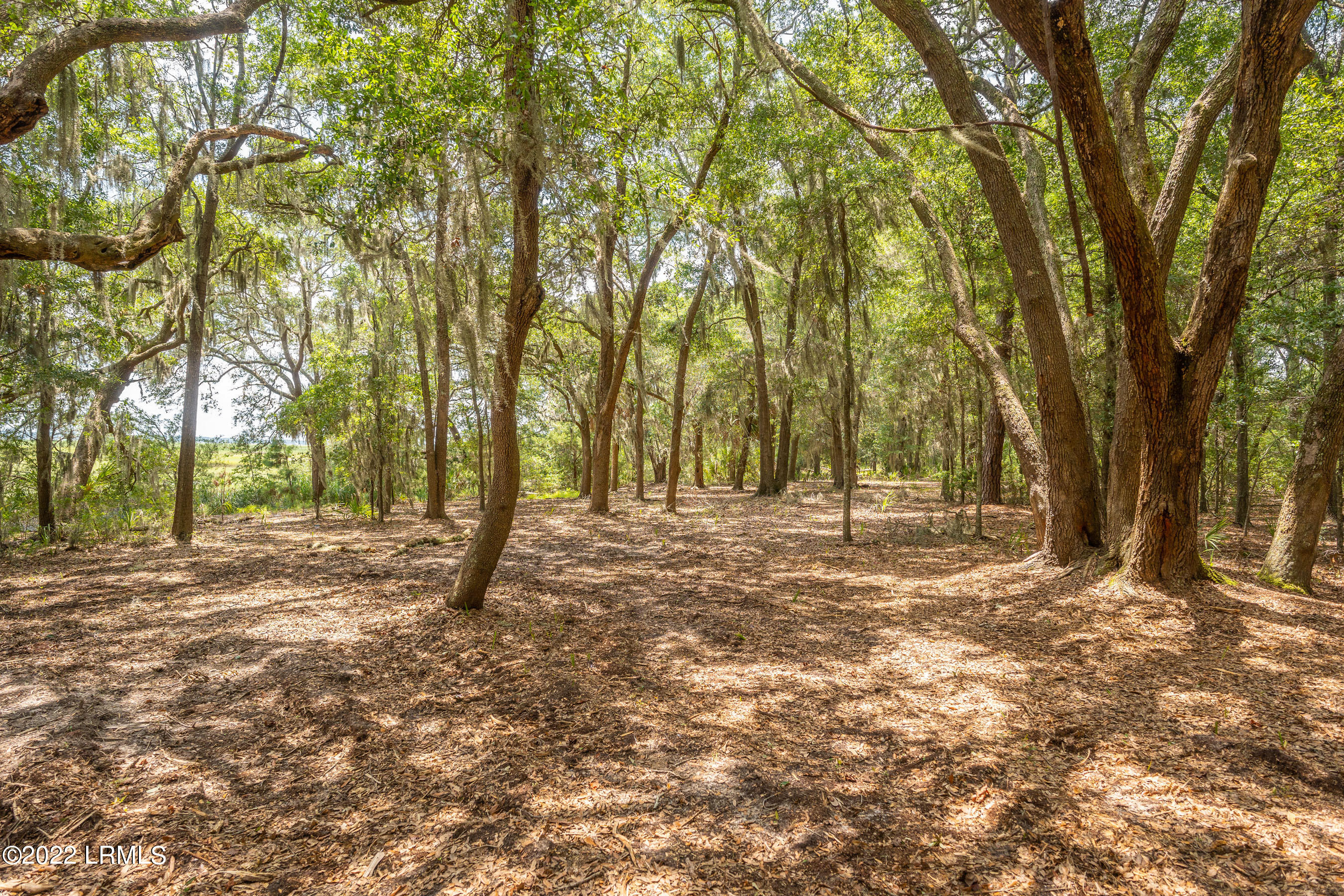 10 Little Capers Road Beaufort, SC 29907 - Photo 5 of 9 DSC06056-1.jpg-FULL