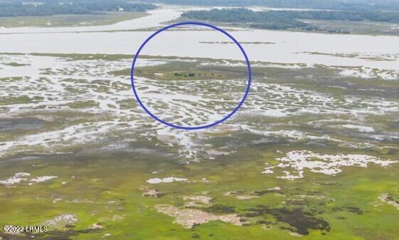 10 Little Capers Road Beaufort, SC 29907 - Photo 6 of 9 Island Pic
