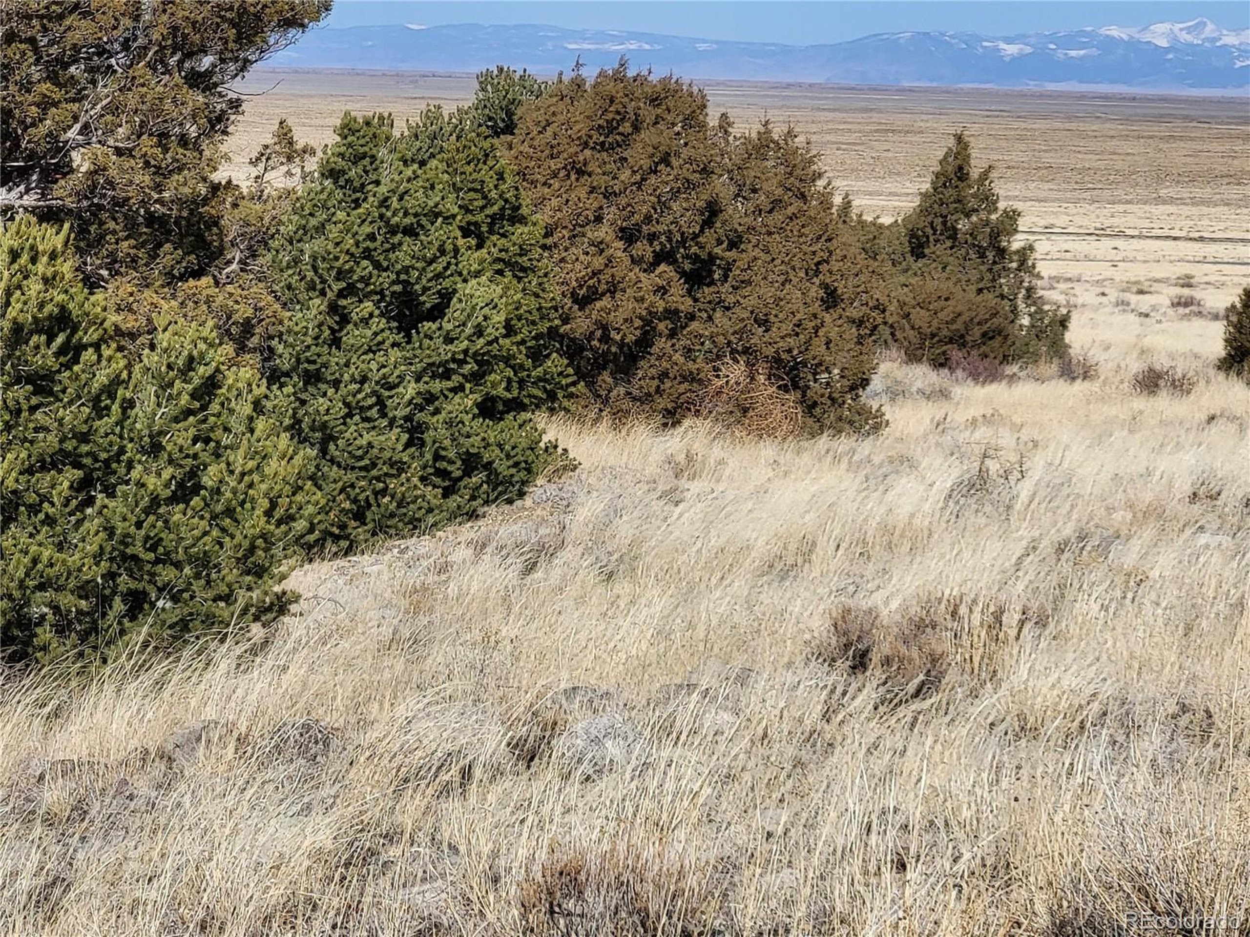 511 Mill Run Road Mosca, CO 81146 - Photo 5 of 8