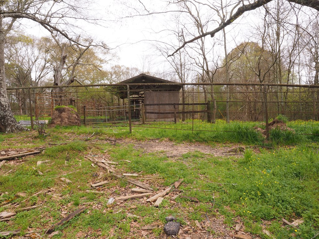 1111 Knoxo Road Tylertown, MS 39667 - Photo 11 of 34 Photo 11