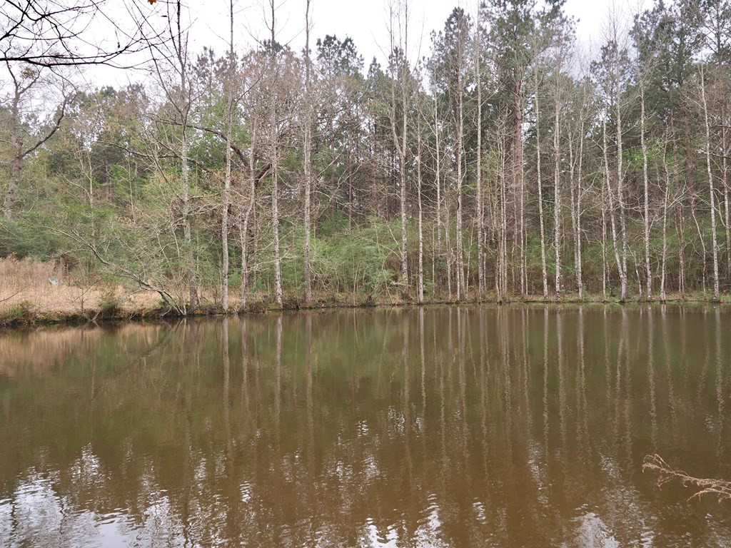 1111 Knoxo Road Tylertown, MS 39667 - Photo 14 of 34 Photo 14
