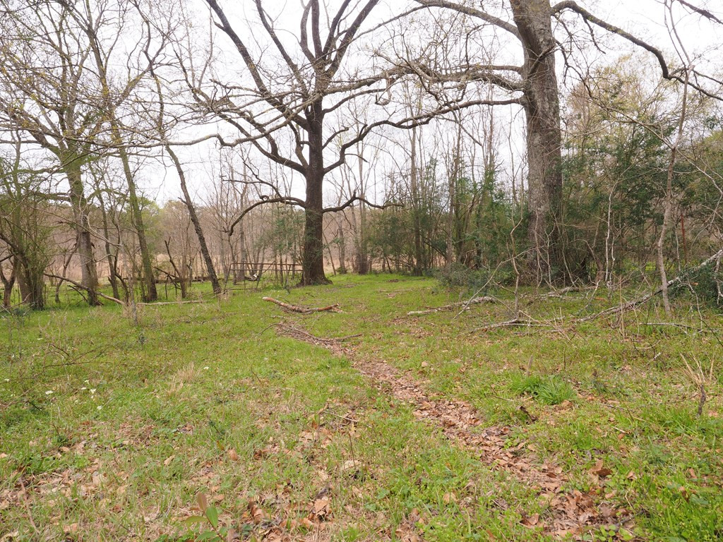 1111 Knoxo Road Tylertown, MS 39667 - Photo 20 of 34 Photo 20