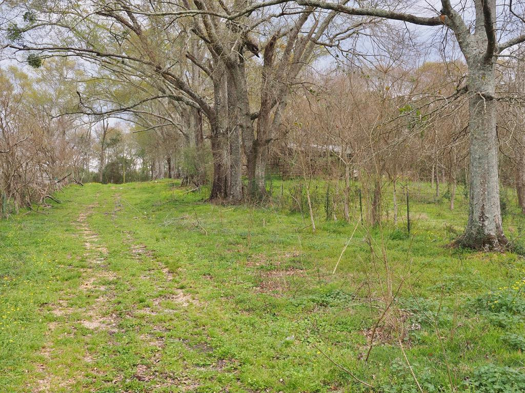 1111 Knoxo Road Tylertown, MS 39667 - Photo 2 of 34 Photo 2