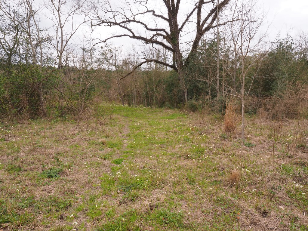 1111 Knoxo Road Tylertown, MS 39667 - Photo 21 of 34 Photo 21