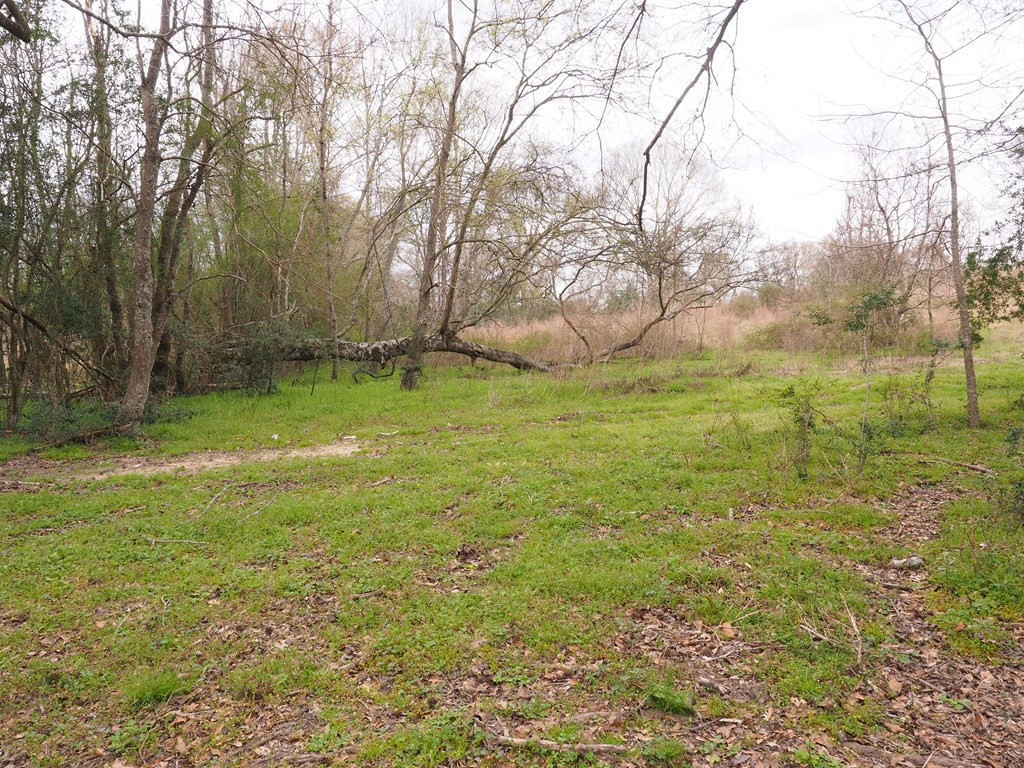 1111 Knoxo Road Tylertown, MS 39667 - Photo 22 of 34 Photo 22