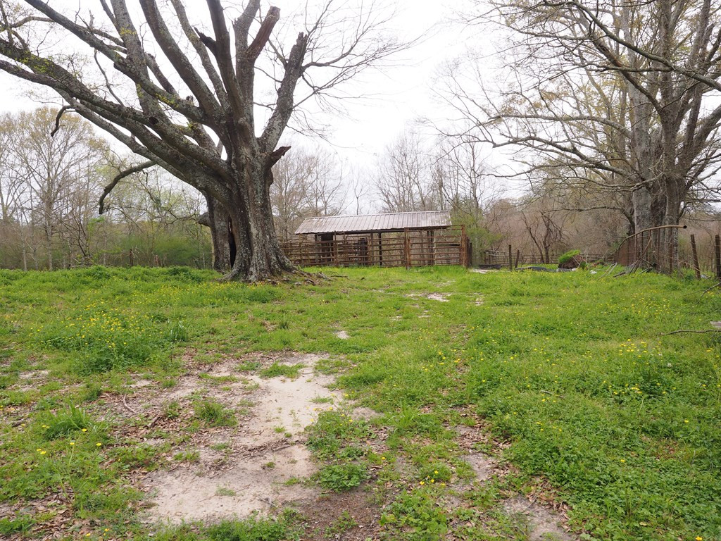 1111 Knoxo Road Tylertown, MS 39667 - Photo 23 of 34 Photo 23