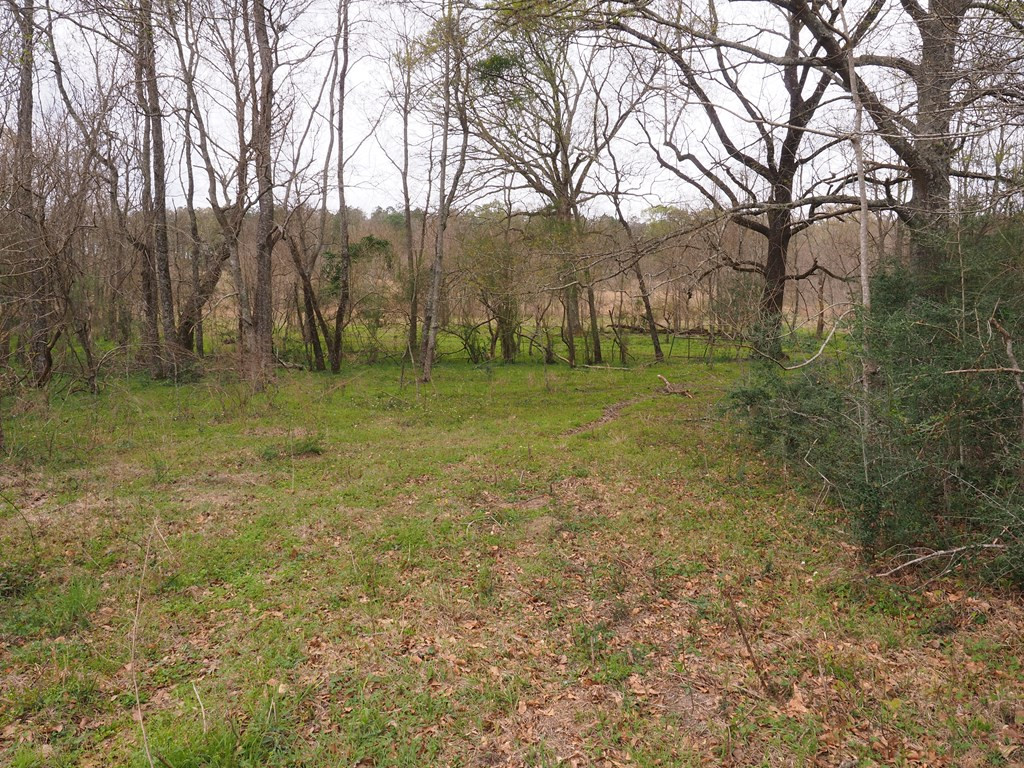 1111 Knoxo Road Tylertown, MS 39667 - Photo 24 of 34 Photo 24