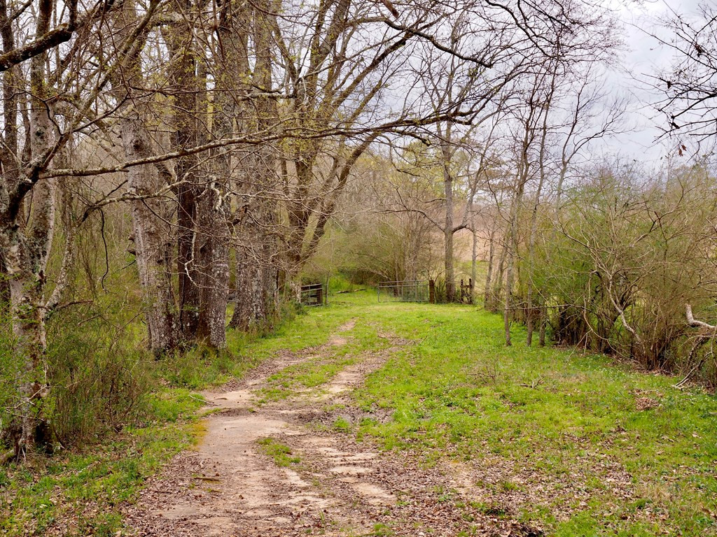 1111 Knoxo Road Tylertown, MS 39667 - Photo 25 of 34 Photo 25