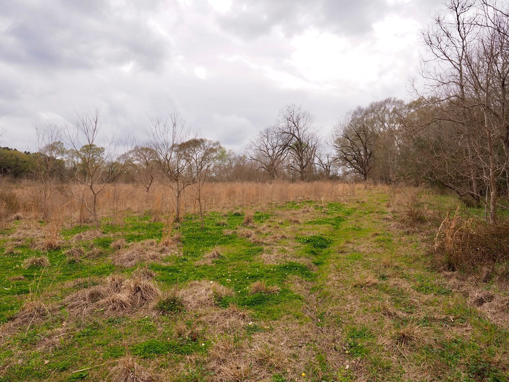 1111 Knoxo Road Tylertown, MS 39667 - Photo 26 of 34 Photo 26