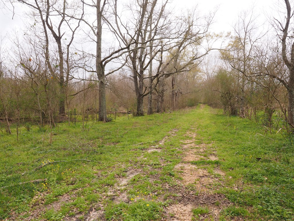1111 Knoxo Road Tylertown, MS 39667 - Photo 27 of 34 Photo 27