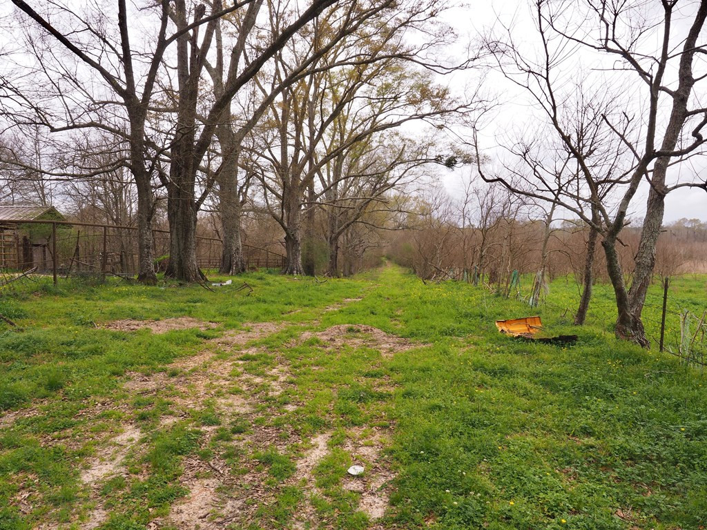 1111 Knoxo Road Tylertown, MS 39667 - Photo 28 of 34 Photo 28