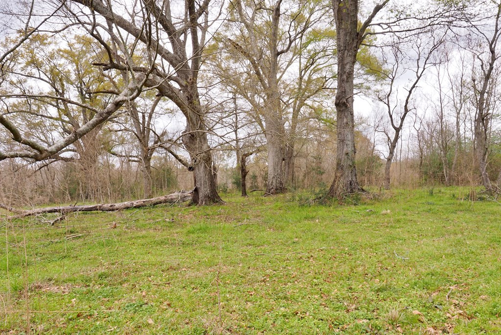 1111 Knoxo Road Tylertown, MS 39667 - Photo 29 of 34 Photo 29